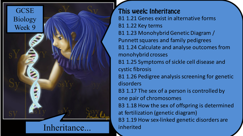 GCSE Inheritance