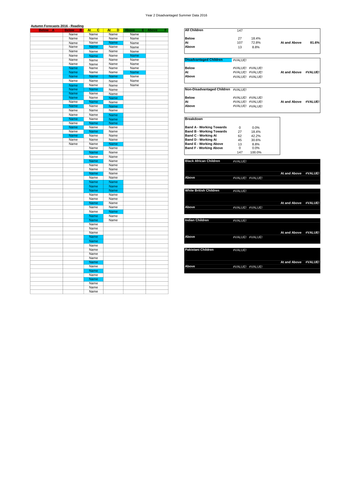 Data Tracking and Analysis Sheet - Disadvantaged and Non-Disadvantaged