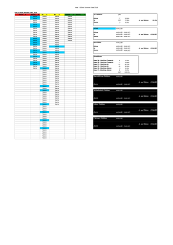 Data Tracking and Analysis Sheet - SEND and Non-SEND