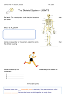 31 Joints And Movement Worksheet - Worksheet Resource Plans