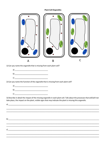 Plant Cell Organelle Extension | Teaching Resources