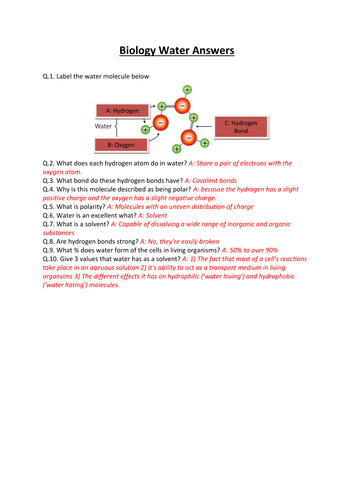 docx, 57.41 KB