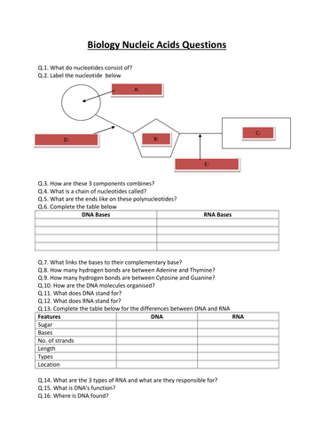 docx, 16.03 KB