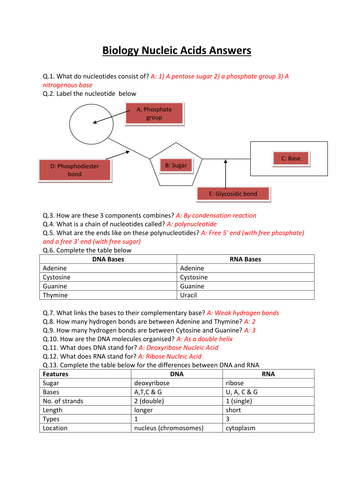 docx, 17.76 KB