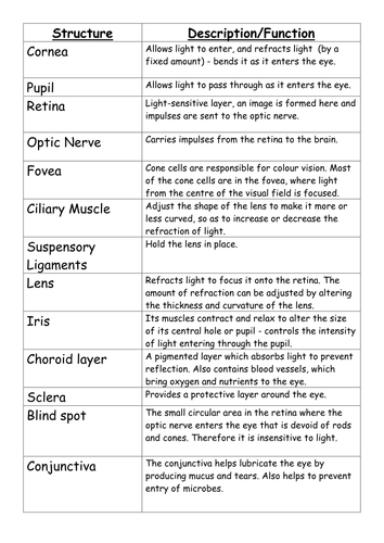 the eye teaching resources