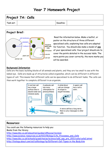 Biology homework projects - year 7