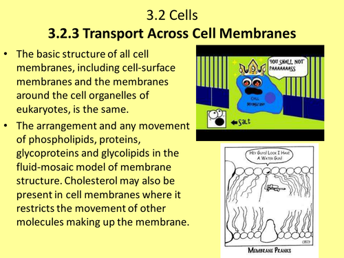NEW AQA AS 3.2.1 Cell Structure, 3.2.2 Cells from Other Cells, 3.2.3 ...