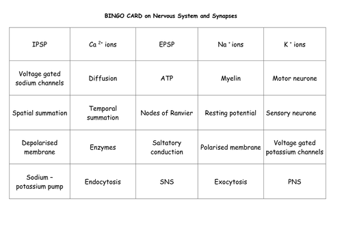 Revision of the Nervous System and Homeostasis for A Level Biology