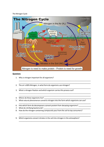 The Nitrogen Cycle | Teaching Resources