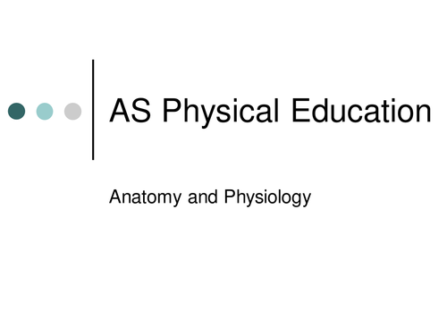 A Level PE - Joints and Bones