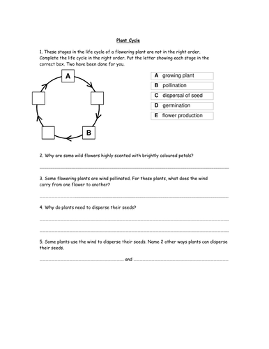 14 science homework worksheets year 6 teaching resources