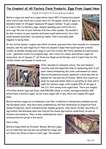 National Reading Test Practice Paper - Battery Chicken Farming