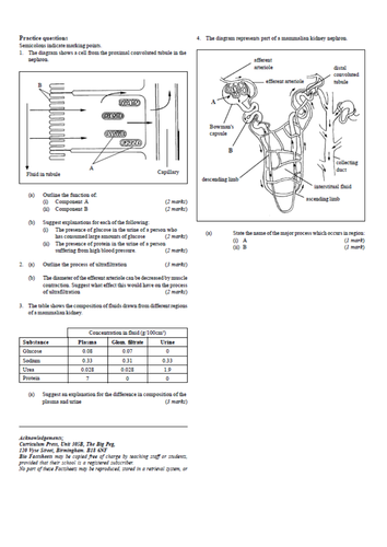 docx, 673.08 KB