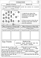 GCSE Diffusion, Osmosis and Active Transport Worksheets by ...