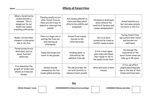 What are the effects of forest fires?