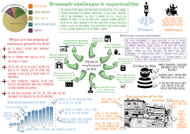 urban issues and challenges rio case study