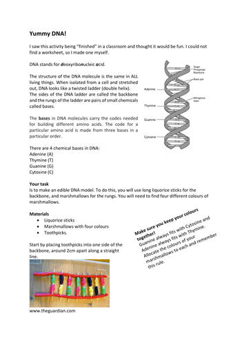 DNA: Lesson bundle | Teaching Resources