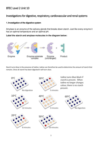 BTEC Level 2 Biology Investigations