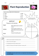 Plant reproduction, parts of the flower (cross section) 3D foldable ...