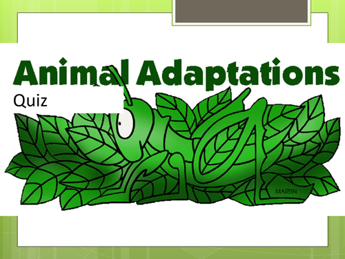 BTEC Biology Animal adaptations, Evolution, selective breeding and Dichotomous keys.