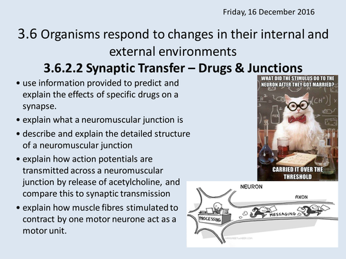 NEW AQA A2 BIOLOGY UNIT 6 - Organisms respond to changes in their ...