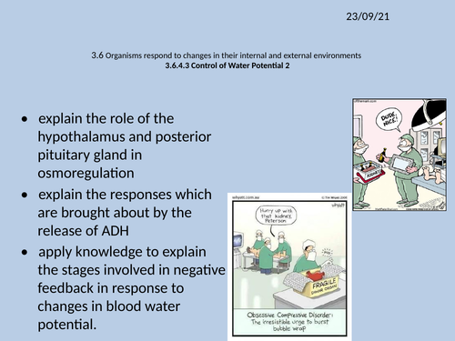 NEW AQA A2 BIOLOGY UNIT 6 - Organisms respond to changes in their ...