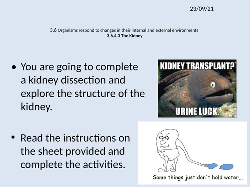 NEW AQA A2 BIOLOGY UNIT 6 - Organisms respond to changes in their ...