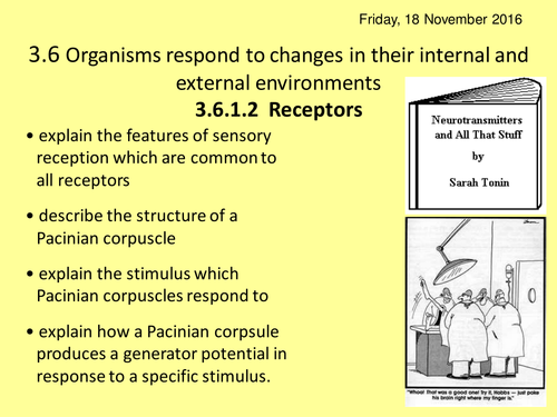 NEW AQA A2 BIOLOGY UNIT 6 - Organisms respond to changes in their ...