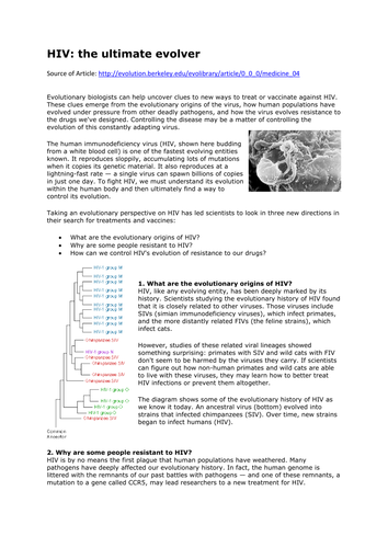 docx, 62.93 KB