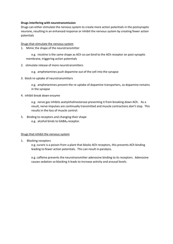 docx, 14.24 KB
