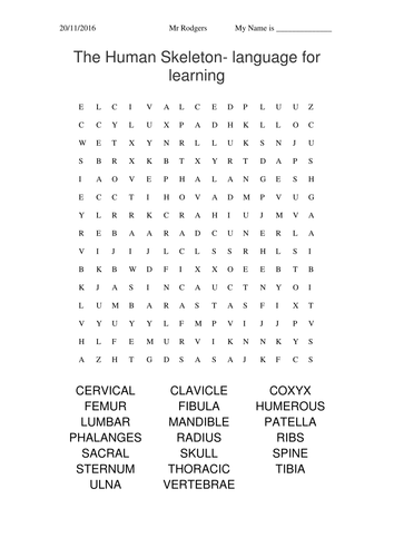 A Keyword Search for the Year 7 Biology B1 2.4  "The Skeleton"  lesson.