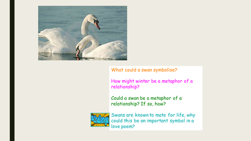 Winter Swans by Owen Sheers - AQA New Spec