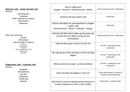 Cells  WHOLE LESSON, plant animal and bacteria - new AQA GCSE 2016 biology