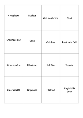 Cell Biology 2016 Key Word Revision Cards