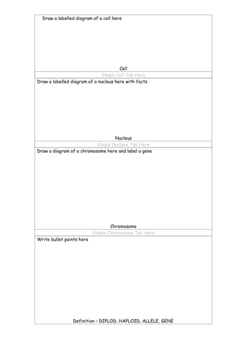 Chromosome foldable activity