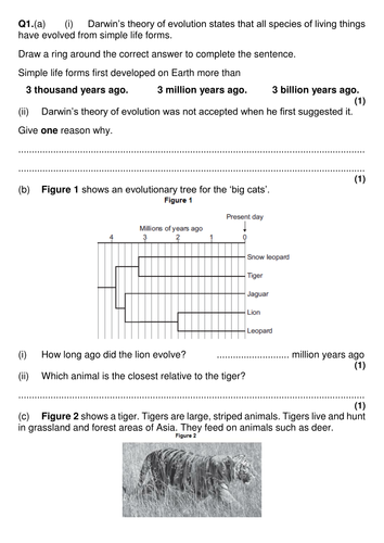 pdf, 377.51 KB