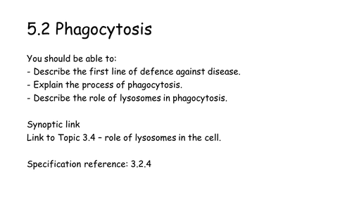 New AQA AS Biology 5.2 Phagocytosis