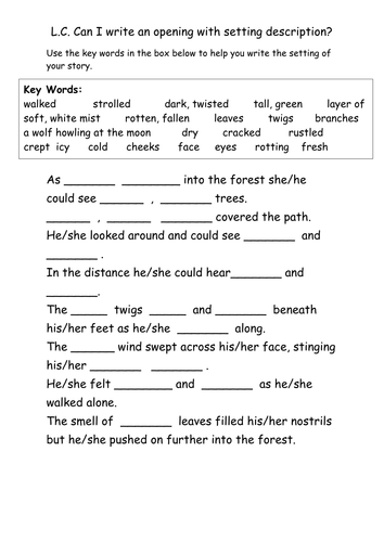 SEN story setting sheet