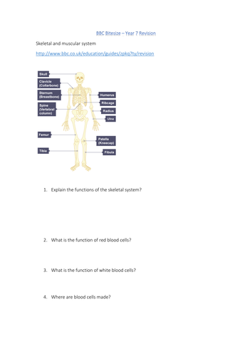 Bbc Bitesize Worksheets Ks3