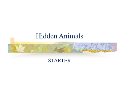 Hidden Animals English/Form Tutor Starter PowerPoint Presentation