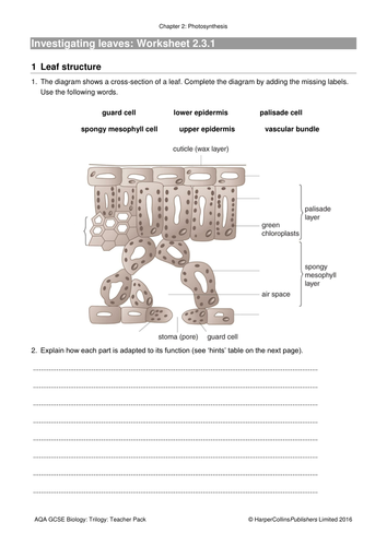 NEW AQA 9 -1 TRILOGY BIOLOGY - UNIT 2 - ORGANISATION | Teaching Resources