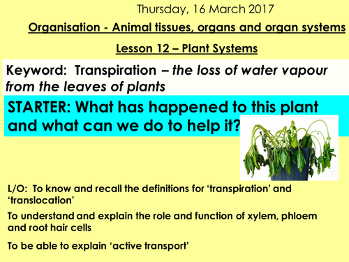 NEW AQA 9 -1 TRILOGY BIOLOGY - UNIT 2 - ORGANISATION | Teaching Resources