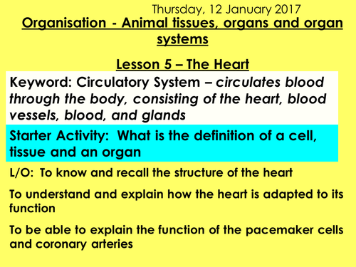 NEW AQA 9 -1 TRILOGY BIOLOGY - UNIT 2 - ORGANISATION | Teaching Resources