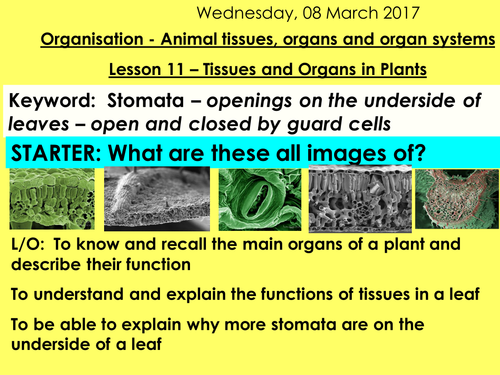 NEW AQA 9 -1 TRILOGY BIOLOGY - UNIT 2 - ORGANISATION | Teaching Resources