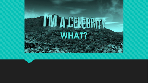 Christmas quiz - I'm a Celebrity What