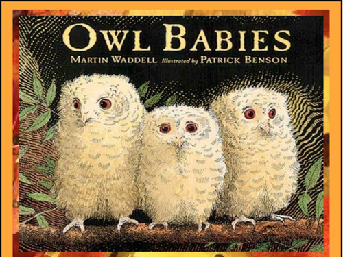 Owl cheap babies powerpoint