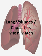 Lung volumes and capacities - interpreting a spirometer trace GCSE PE ...