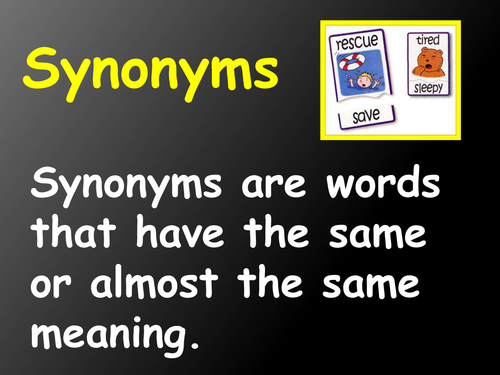 Synonyms