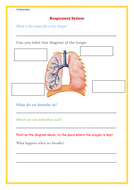 Respiratory System | Teaching Resources