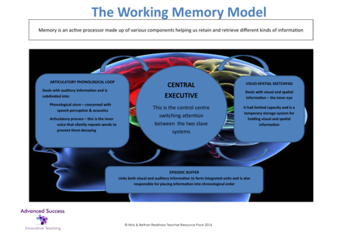 Poster - Memory - The Working Memory Model | Teaching Resources